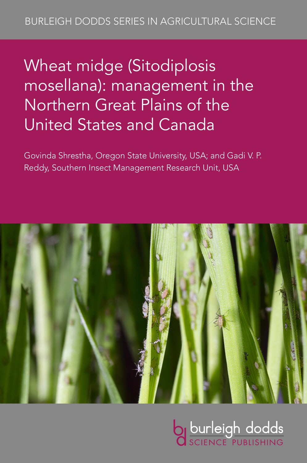 Book cover image for Wheat midge (Sitodiplosis mosellana): management in the Northern Great Plains of the United States and Canada ISBN: 9781801468480